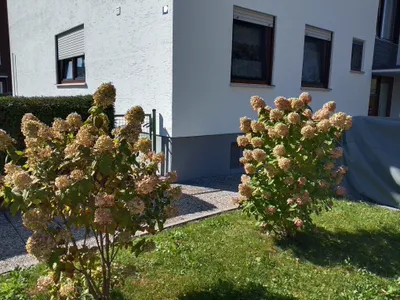 3-Zimmer-Wohnung kaufen in Salzburg Stadt – 76 m², € 369.000 – Bild 22 von 26