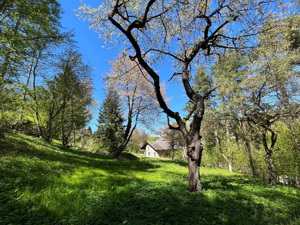 Rohbau & kleines Haus im Waldviertel zu verkaufen - Ansicht 3
