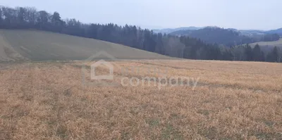 Grundstück kaufen in Wiener Neustadt Land – 25 934 m² – Bild 1 von 2