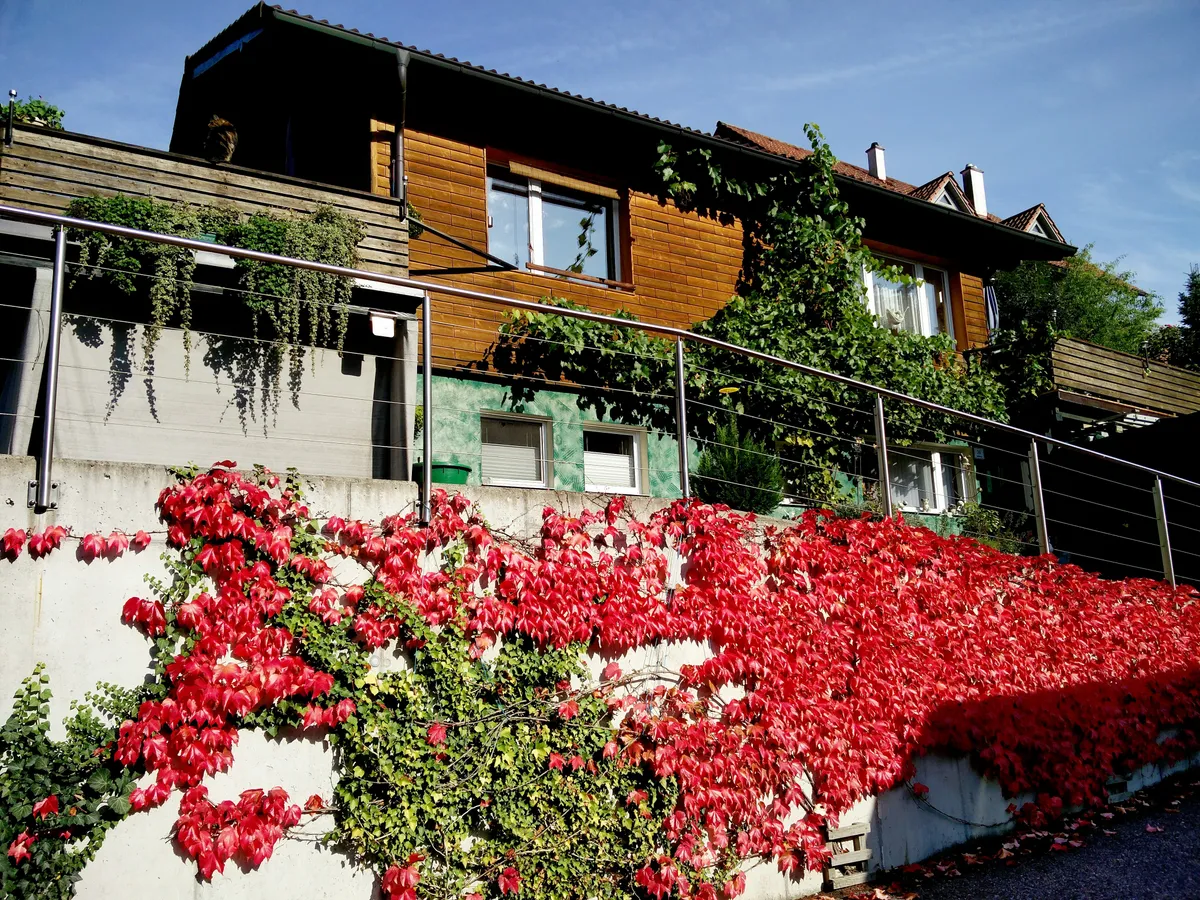 Haus – Eidenberg, Aschlberg - Ansicht 2
