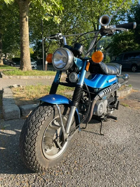 Suzuki RV