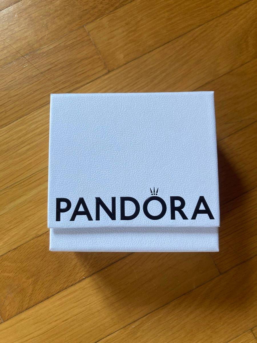 Pandora Ohrringe