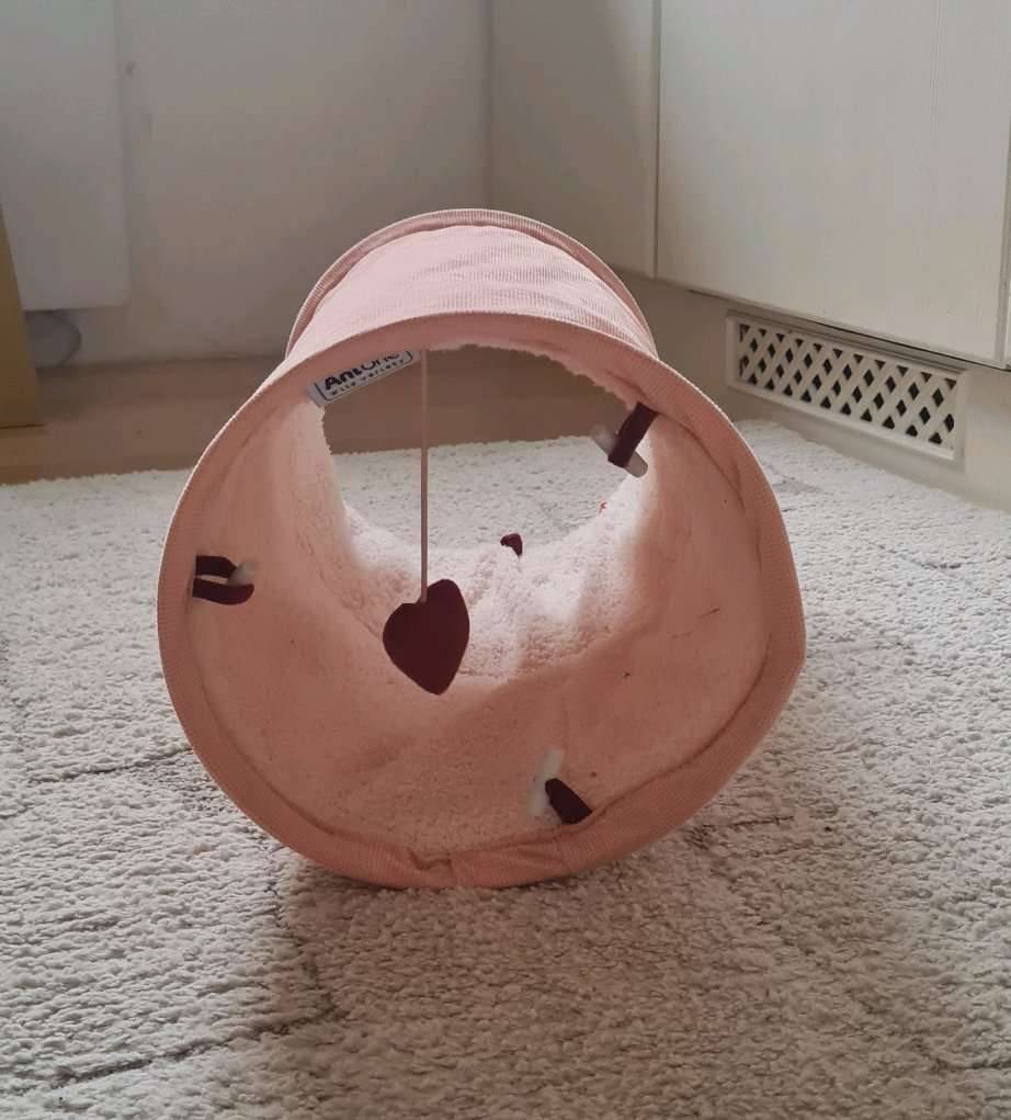 Katzenspielzeug: Rascheltunnel von AniOne,  5,- (7551 Stegersbach) -  willhaben