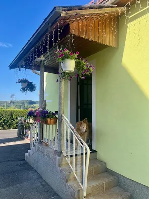 4-Zimmer-Haus kaufen in Deutschlandsberg – 100 m², € 299.000 – Bild 11 von 24