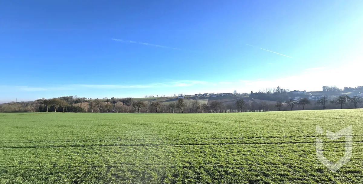 PREISREDUKTION - BAUGRUNDSTÜCK MIT PANORAMABLICK IN BAD HALL - Ansicht 2