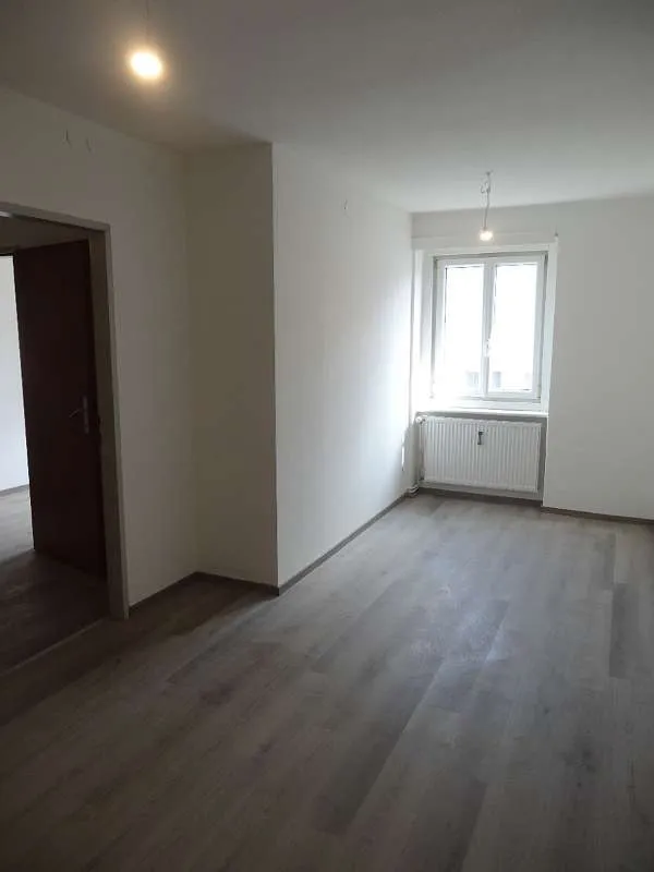 Top sanierte Wohnung in Graz Lend - Ansicht 3