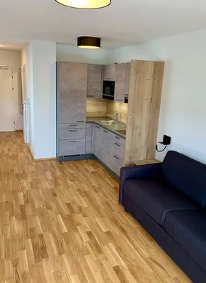 1-Zimmer-Wohnung kaufen in Zell am See – 29 m², € 249.500 – Bild 4 von 10