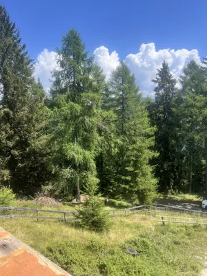Immobilie kaufen in Spittal an der Drau – 85 m², € 550.000 – Bild 28 von 29