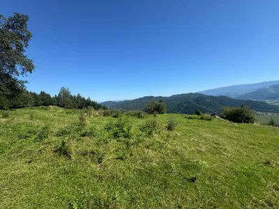 Grundstück kaufen in Sankt Veit an der Glan – 272 555 m², € 650.000 – Bild 9 von 17