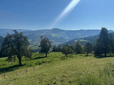 Grundstück kaufen in Sankt Veit an der Glan – 272 555 m², € 650.000 – Bild 8 von 17