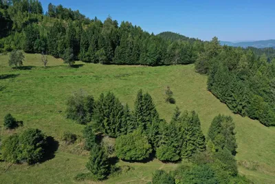 Grundstück kaufen in Sankt Veit an der Glan – 272 555 m², € 650.000 – Bild 14 von 17