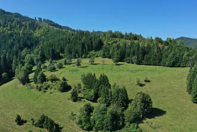 Grundstück kaufen in Sankt Veit an der Glan – 272 555 m², € 650.000 – Bild 15 von 17
