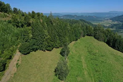 Grundstück kaufen in Sankt Veit an der Glan – 272 555 m², € 650.000 – Bild 16 von 17