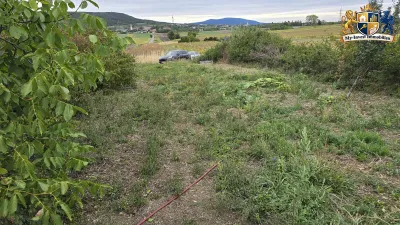 Grundstück mieten in Baden – 1 015 m², € 130 – Bild 7 von 9