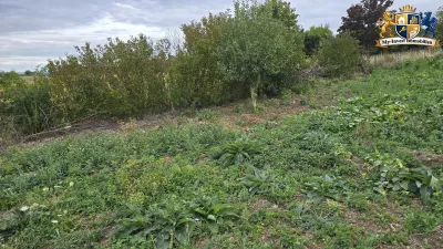 Grundstück mieten in Baden – 1 015 m², € 130 – Bild 6 von 9