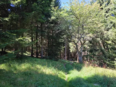 Grundstück kaufen in Rohrbach – 15 000 m²