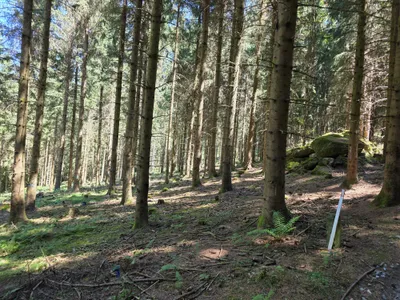 Grundstück kaufen in Rohrbach – 15 000 m² – Bild 2 von 59