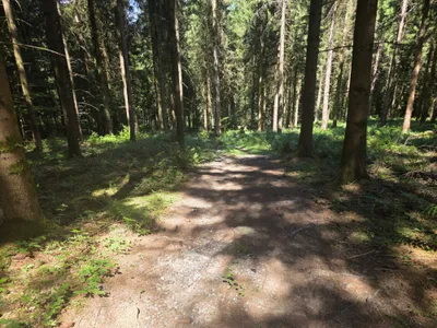 Grundstück kaufen in Rohrbach – 15 000 m² – Bild 57 von 59