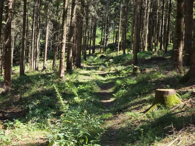 Grundstück kaufen in Rohrbach – 15 000 m² – Bild 15 von 59