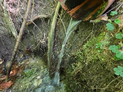 Grundstück kaufen in Rohrbach – 15 000 m² – Bild 48 von 59