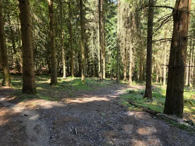 Grundstück kaufen in Rohrbach – 15 000 m² – Bild 5 von 59
