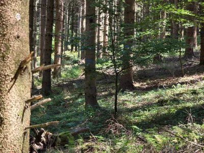 Grundstück kaufen in Rohrbach – 15 000 m² – Bild 55 von 59