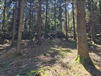 Grundstück kaufen in Rohrbach – 15 000 m² – Bild 9 von 59