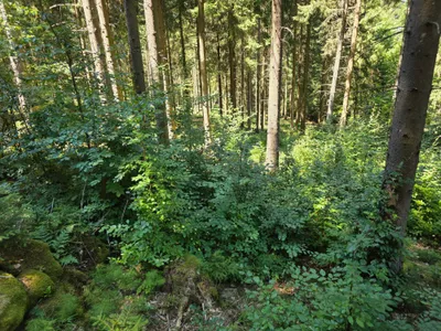 Grundstück kaufen in Rohrbach – 15 000 m² – Bild 26 von 59