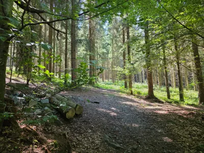 Grundstück kaufen in Rohrbach – 15 000 m² – Bild 35 von 59