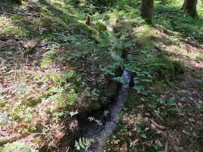 Grundstück kaufen in Rohrbach – 15 000 m² – Bild 37 von 59