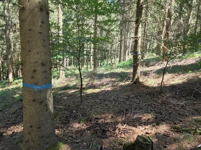 Grundstück kaufen in Rohrbach – 15 000 m² – Bild 16 von 59