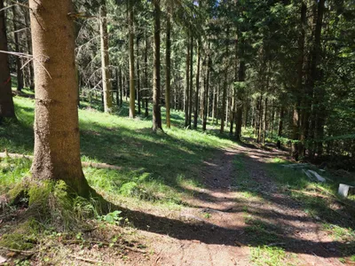 Grundstück kaufen in Rohrbach – 15 000 m² – Bild 29 von 59