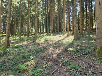 Grundstück kaufen in Rohrbach – 15 000 m² – Bild 20 von 59