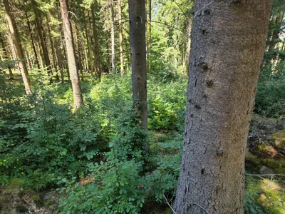 Grundstück kaufen in Rohrbach – 15 000 m² – Bild 27 von 59