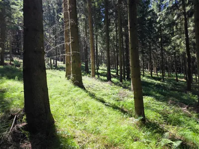 Grundstück kaufen in Rohrbach – 15 000 m² – Bild 30 von 59