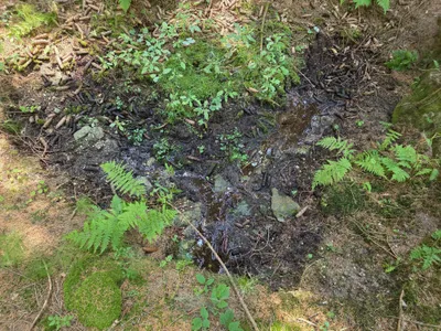 Grundstück kaufen in Rohrbach – 15 000 m² – Bild 10 von 59