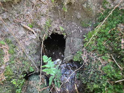 Grundstück kaufen in Rohrbach – 15 000 m² – Bild 12 von 59