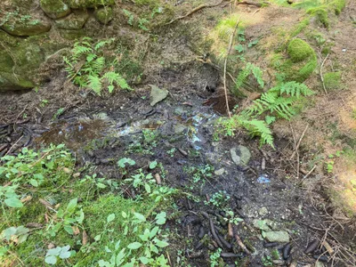 Grundstück kaufen in Rohrbach – 15 000 m² – Bild 11 von 59