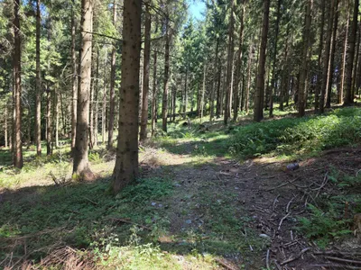 Grundstück kaufen in Rohrbach – 15 000 m² – Bild 17 von 59