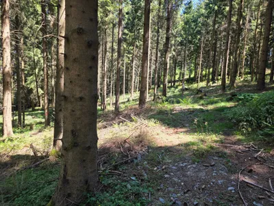 Grundstück kaufen in Rohrbach – 15 000 m² – Bild 18 von 59