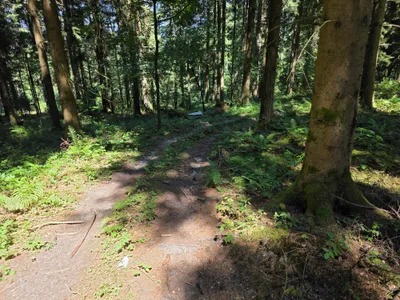 Grundstück kaufen in Rohrbach – 15 000 m² – Bild 43 von 59