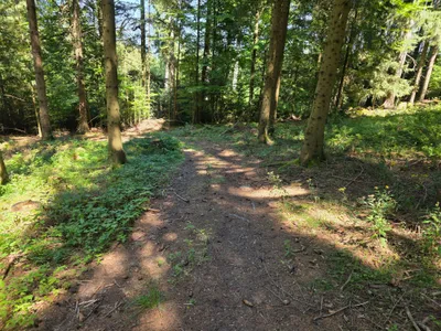 Grundstück kaufen in Rohrbach – 15 000 m² – Bild 28 von 59
