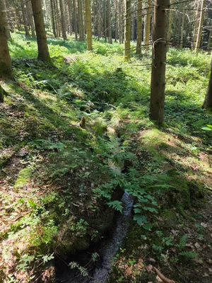 Grundstück kaufen in Rohrbach – 15 000 m² – Bild 38 von 59