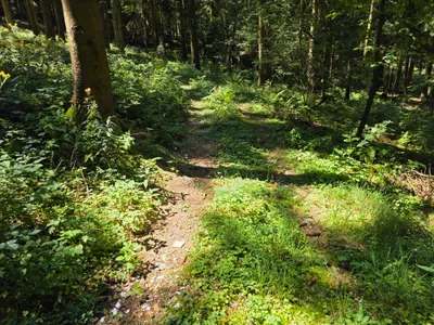Grundstück kaufen in Rohrbach – 15 000 m² – Bild 40 von 59