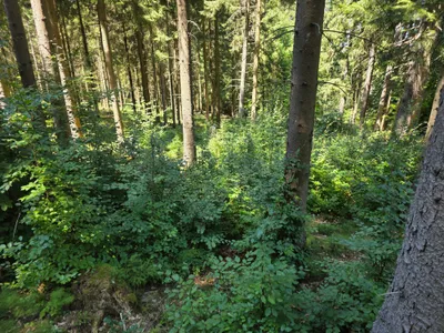 Grundstück kaufen in Rohrbach – 15 000 m² – Bild 25 von 59