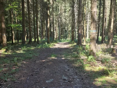 Grundstück kaufen in Rohrbach – 15 000 m² – Bild 58 von 59