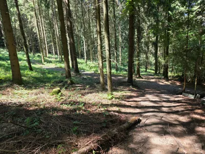 Grundstück kaufen in Rohrbach – 15 000 m² – Bild 34 von 59