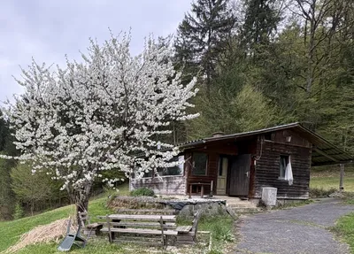 Grundstück kaufen in Leibnitz – 4 820 m², € 210.000 – Bild 7 von 8