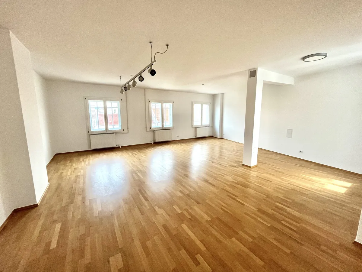 133 m² LOFT-Wohnung in schönem Altbau mit neuer Küche in 1170 Wien zu mieten! – pohled 3