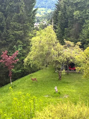 8-Zimmer-Haus kaufen in Salzburg-Umgebung – 265 m², € 1.150.000 – Bild 5 von 6